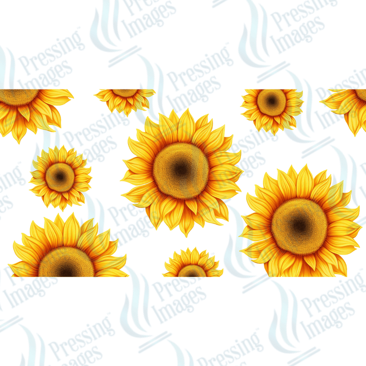 UVW 1579 Sunflowers - Pressing Images