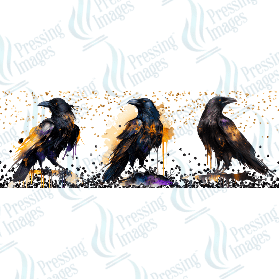 UVW 1619 Black ravens - Pressing Images