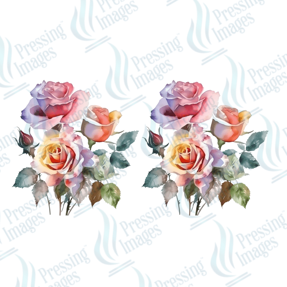 UVW 1624 Coloured roses - Pressing Images