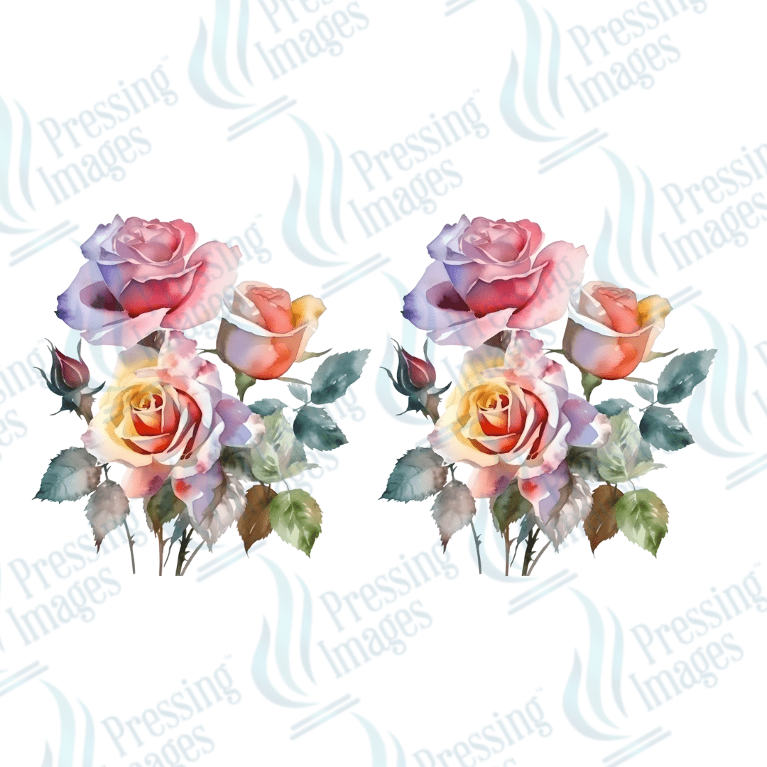UVW 1624 Coloured roses - Pressing Images
