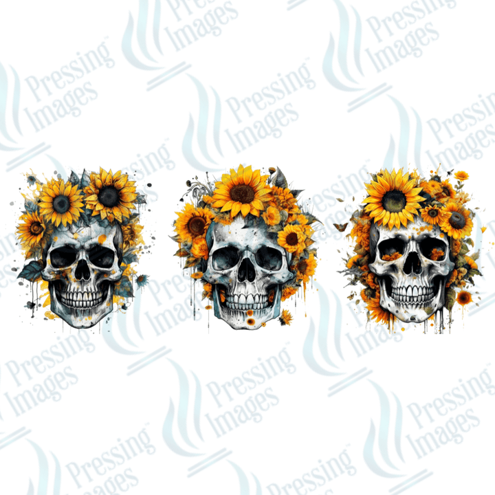 UVW 1631 Sunflower and skull - Pressing Images
