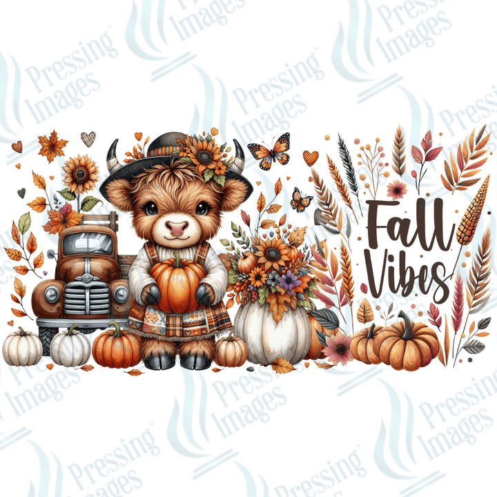 UVW 1649 Highland cow fall - Pressing Images