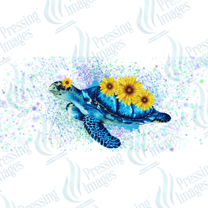 UVW 1654 Turtle sunflower - Pressing Images