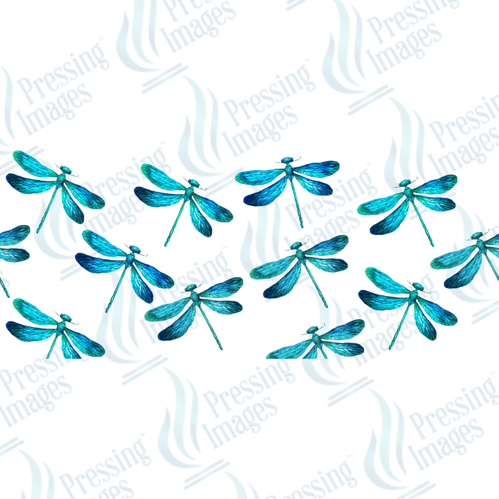 UVW 1671 Dragonflies - Pressing Images