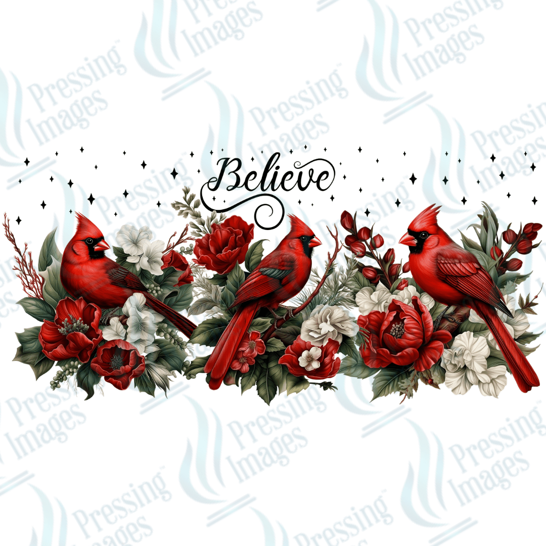 UVW 1717 Believe cardinals - Pressing Images