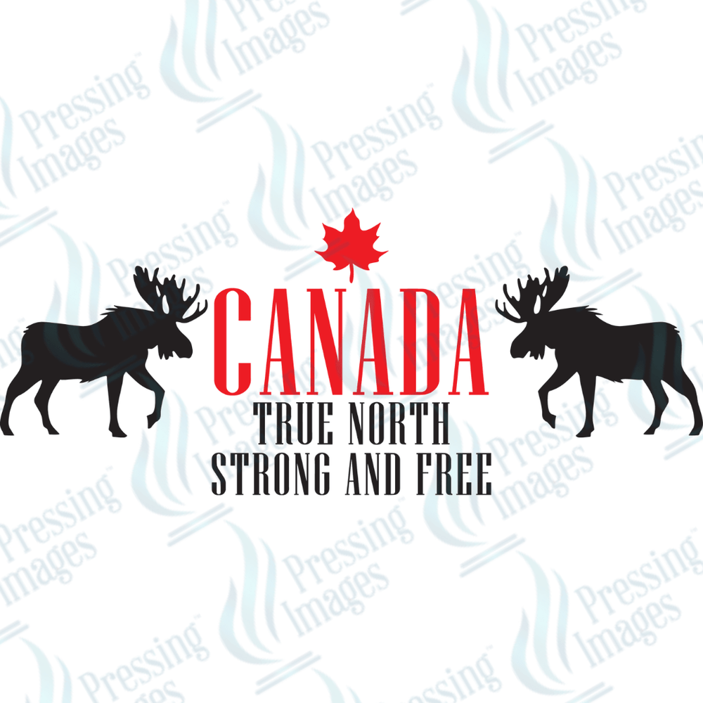 UVW 2171 Canada True North - Pressing Images