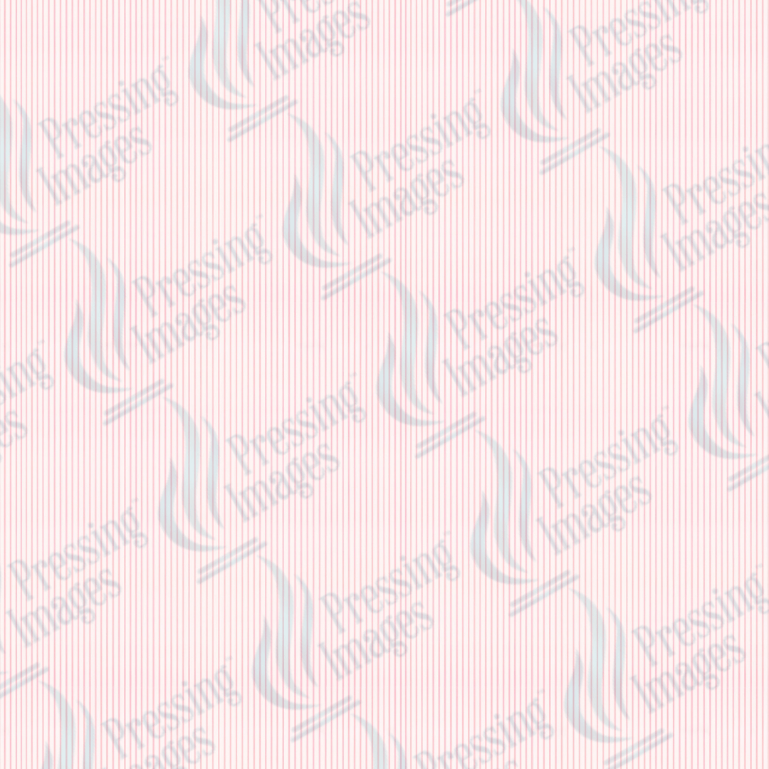 VP 1009 Pink Cottage - Pressing Images