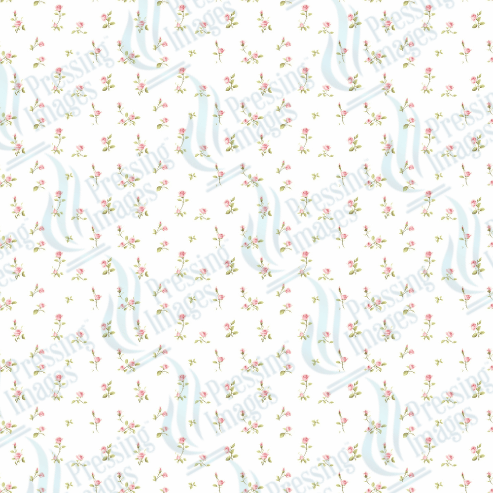 VP 1009 Pink Cottage - Pressing Images