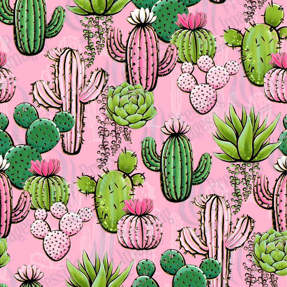 VP 1011 Cactus - Pressing Images