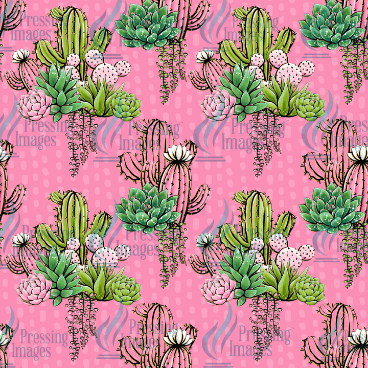 VP 1011 Cactus - Pressing Images