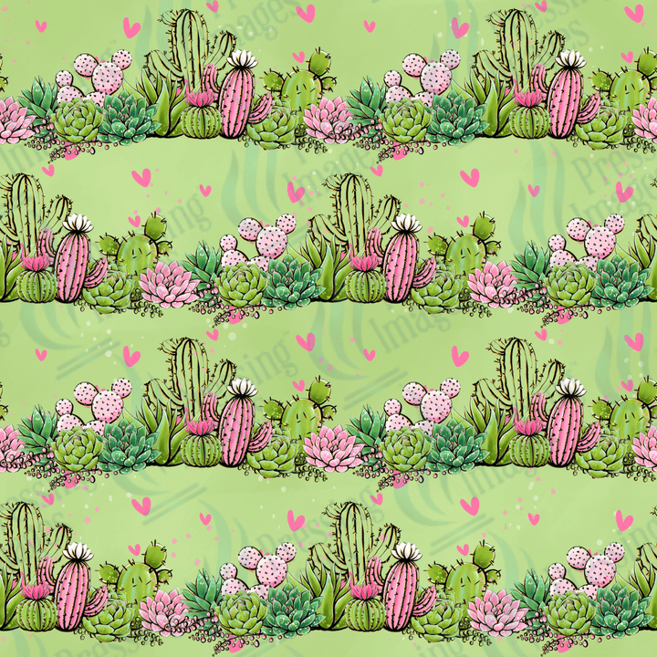 VP 1011 Cactus - Pressing Images