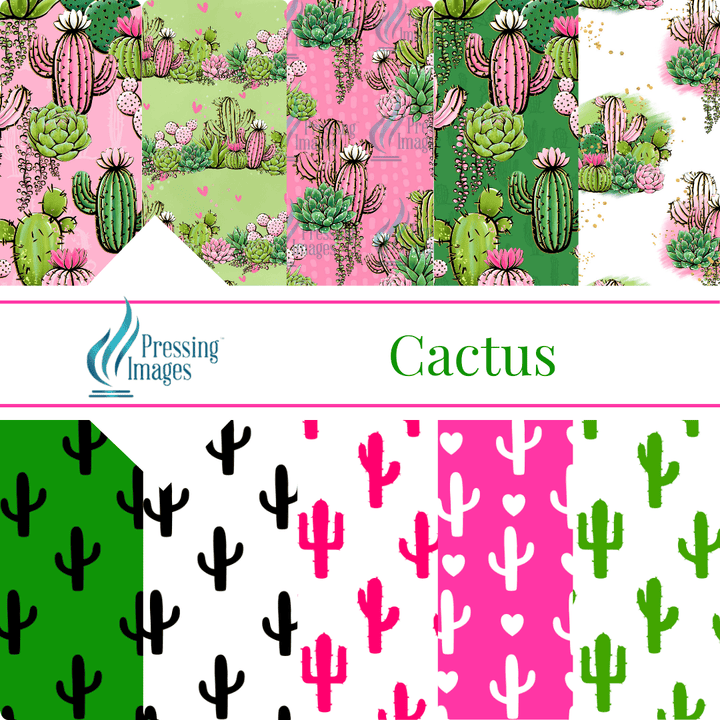 VP 1011 Cactus - Pressing Images