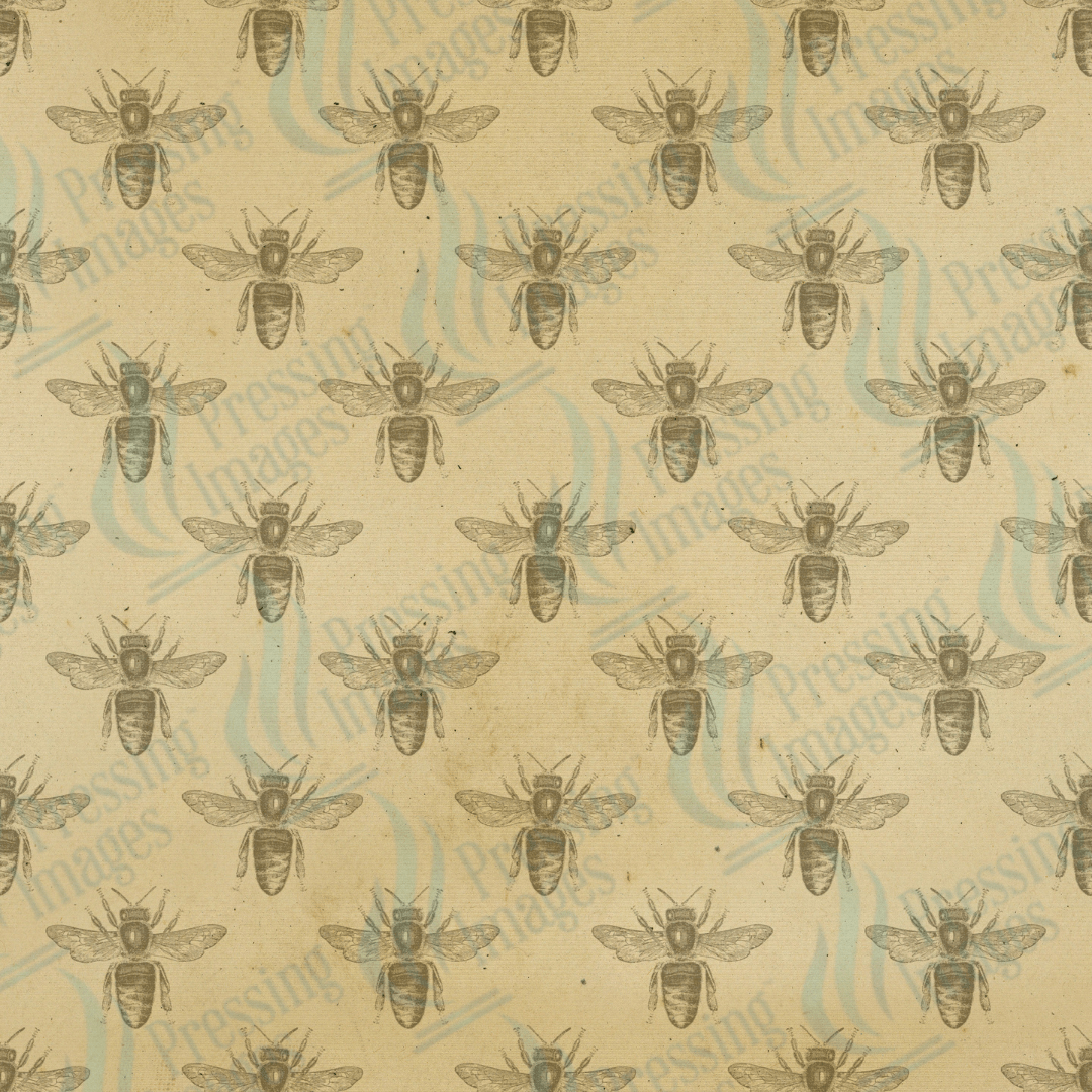 VP 1014 Vintage Bee - Pressing Images