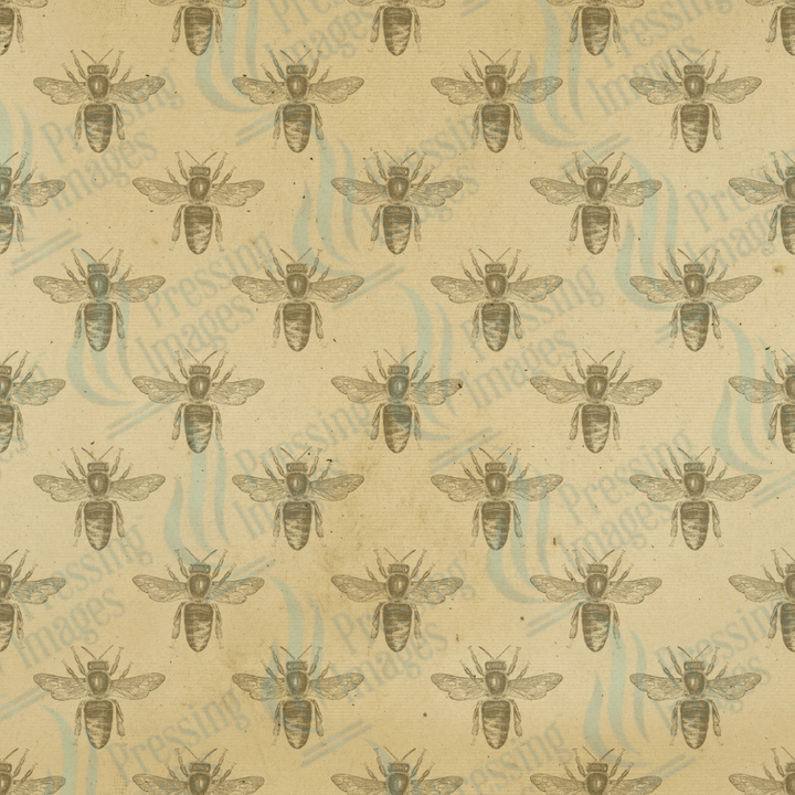 VP 1014 Vintage Bee - Pressing Images