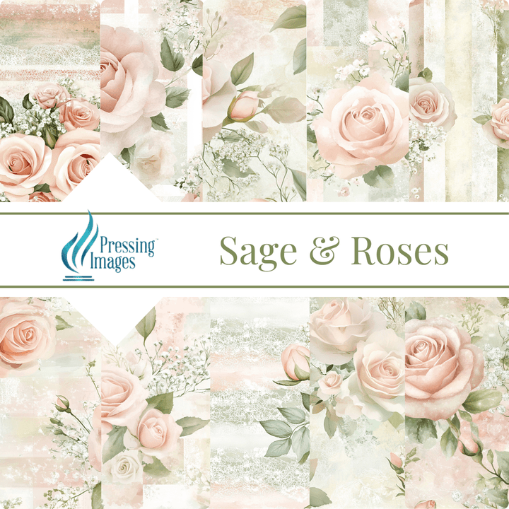 VP 1017 Sage and Roses - Pressing Images