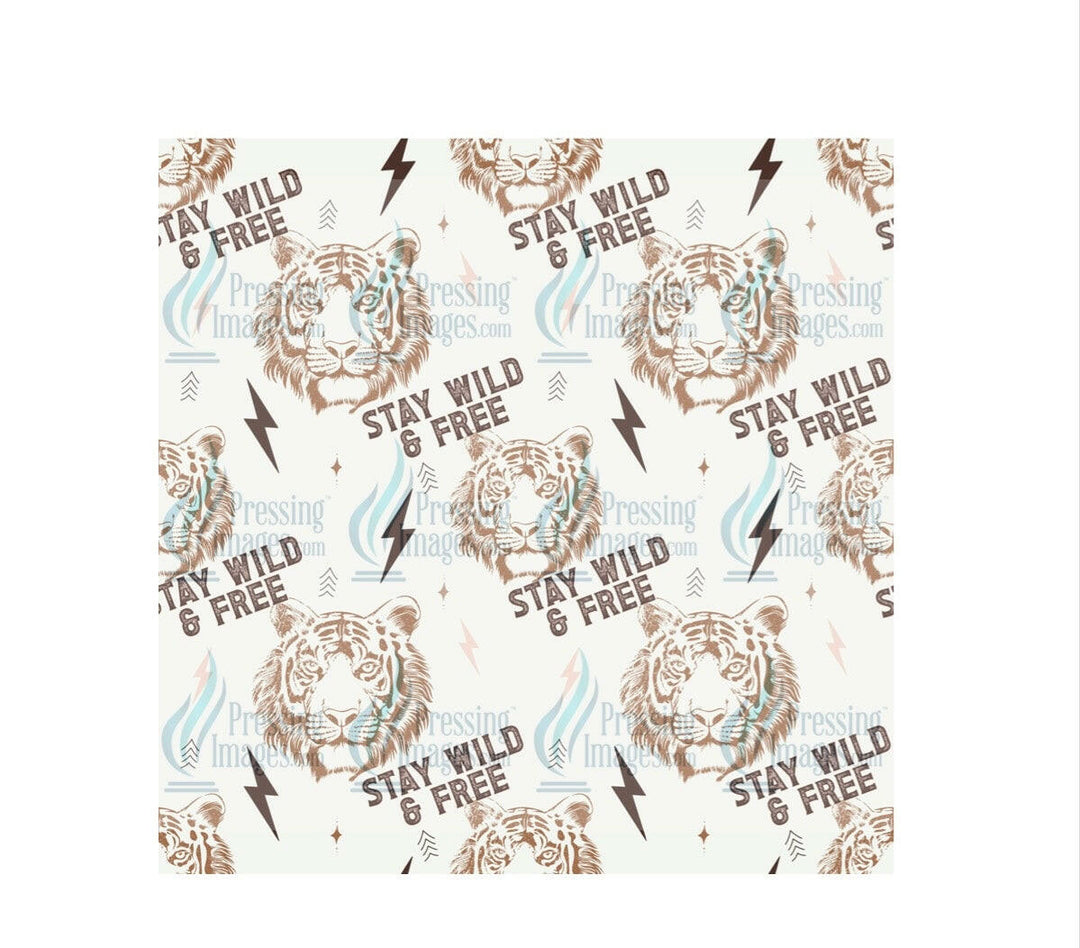 4335 Tiger wild and free.