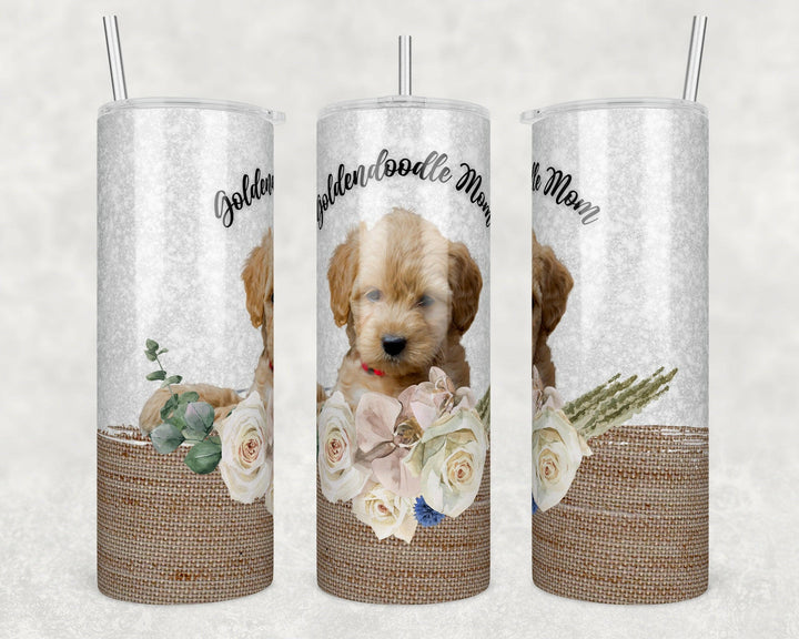 4630 Goldendoodle mom.