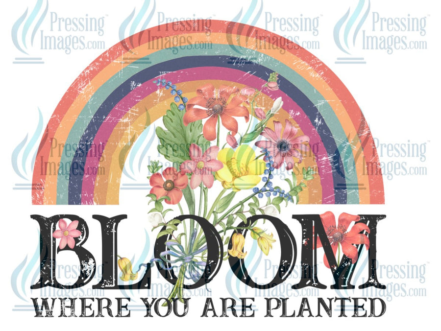 Decal: Rainbow bloom where you are planted