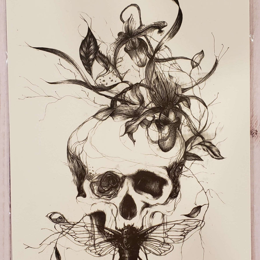 B&W Fly Skull - 241- 8"x 6" Temporary Tattoo