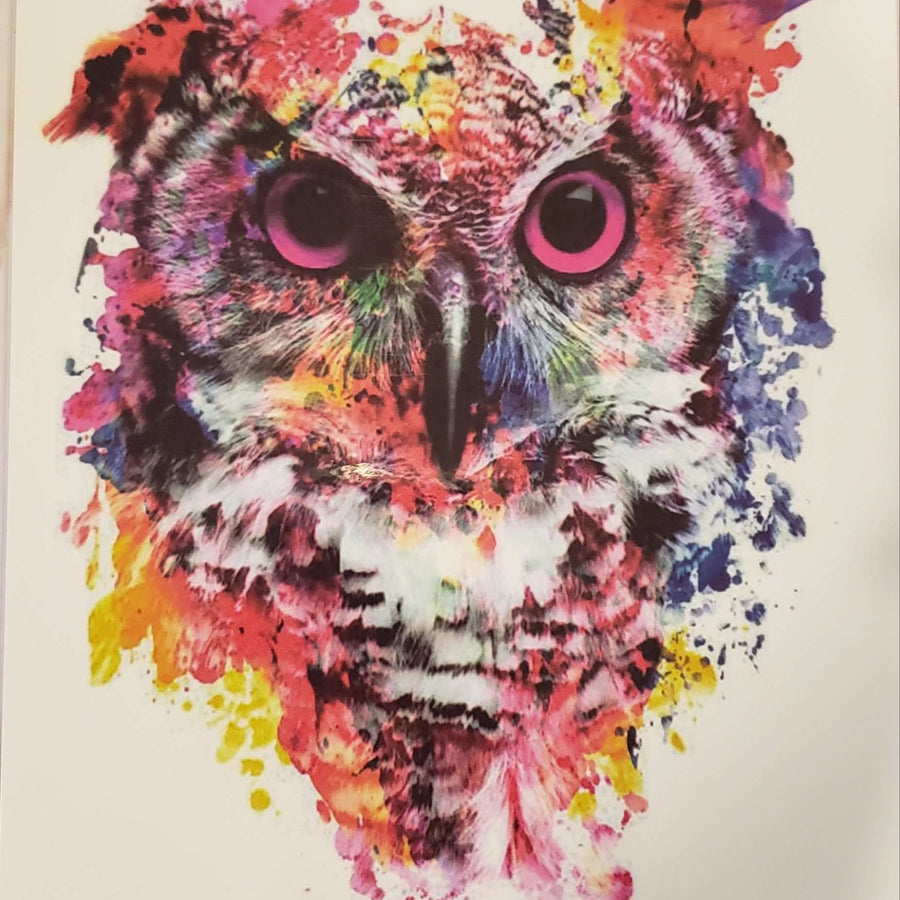 Painted Owl - 014 - 8"x 6" Temporary Tattoo