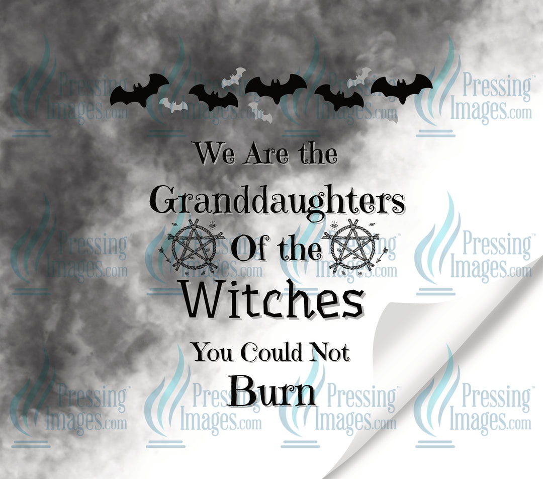 2085 We are the grand daughters of the witches Tumbler Wrap