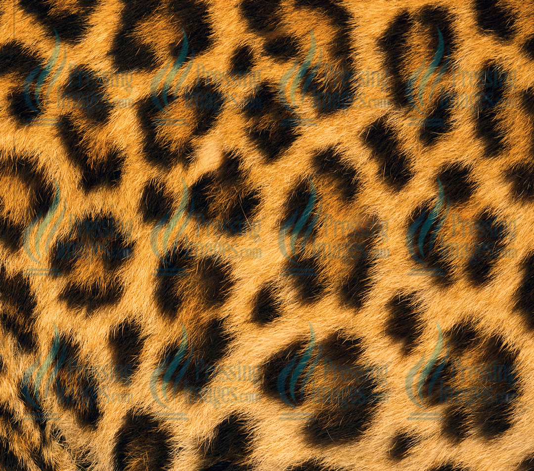 1135 Leopard Tumbler Wrap