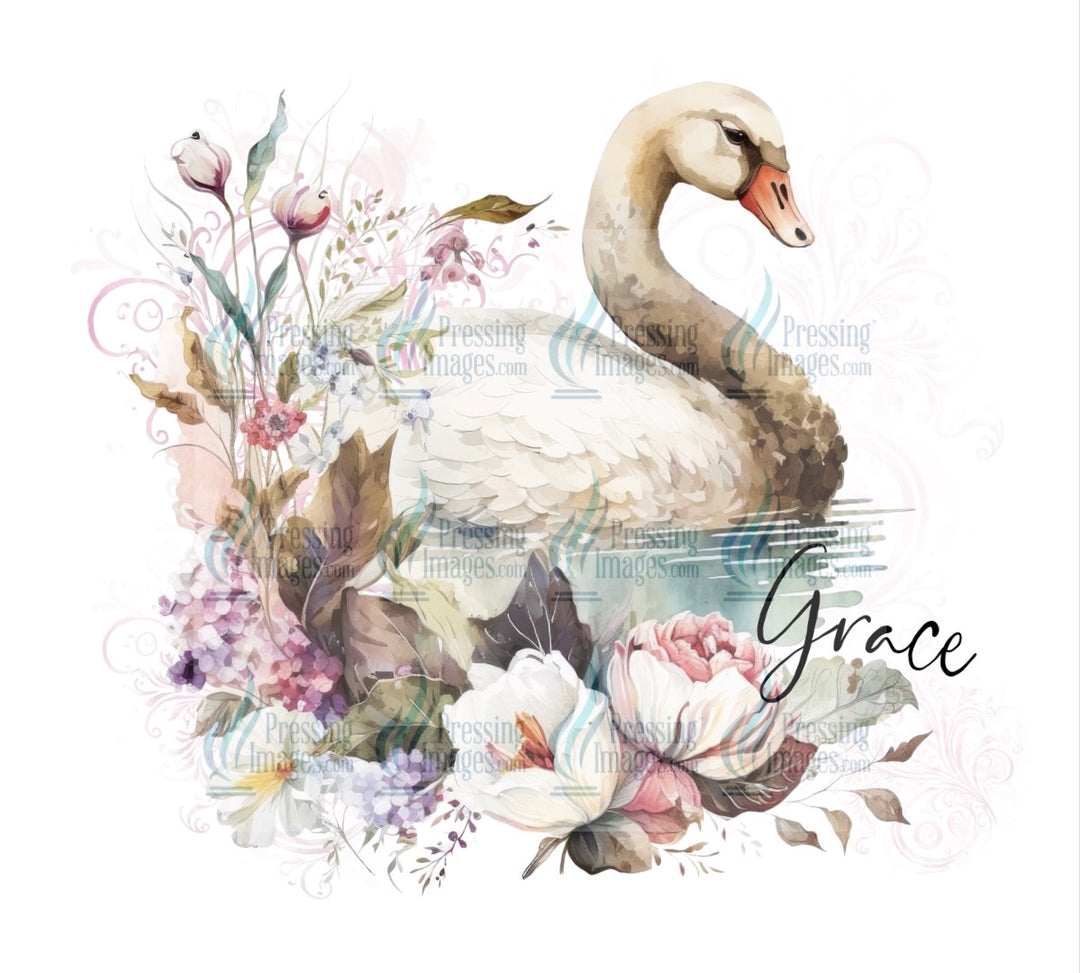 4583 swan grace