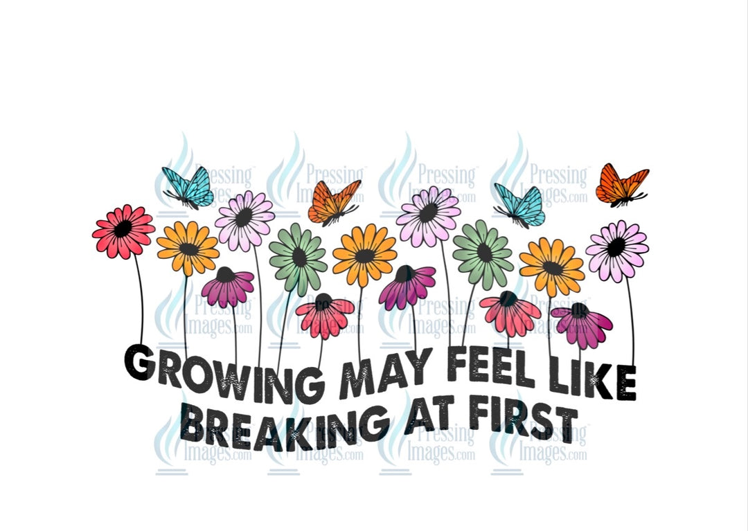 Decal: 4105 Growing may feel like breaking at first