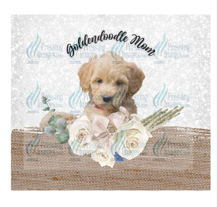 4630 Goldendoodle mom.