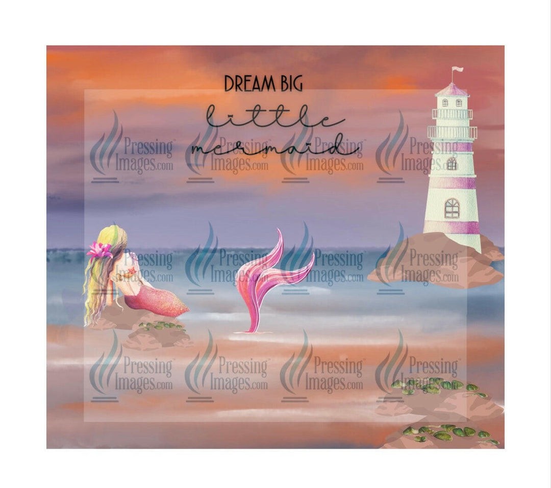 4455 Dream big little mermaid.