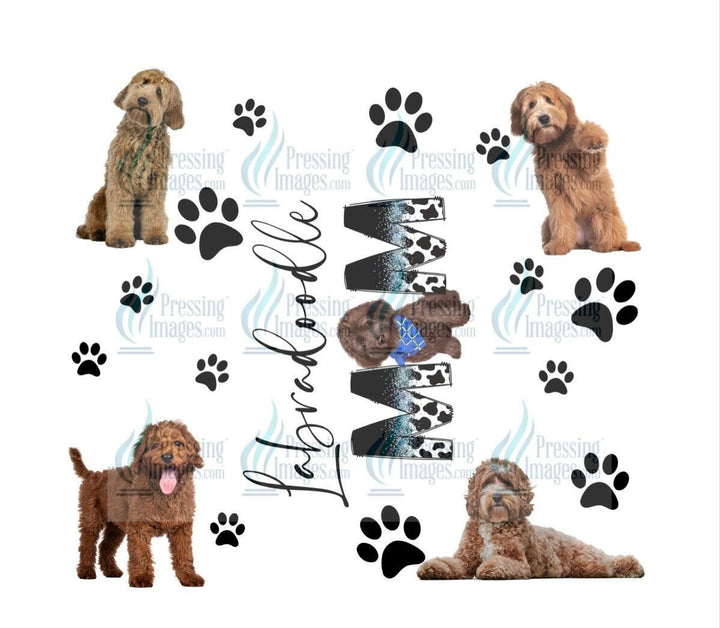 4652 labradoodle mom.