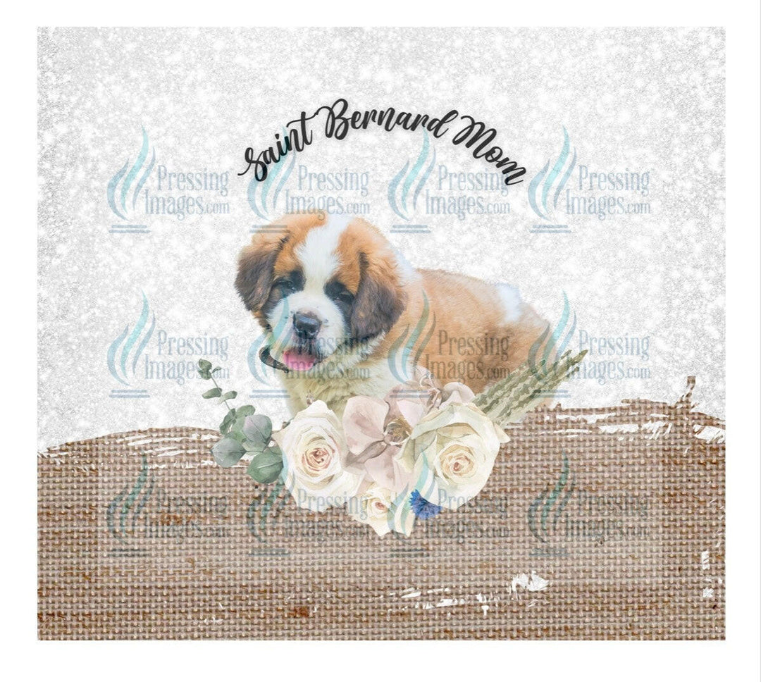 4640 Saint Bernard mom.