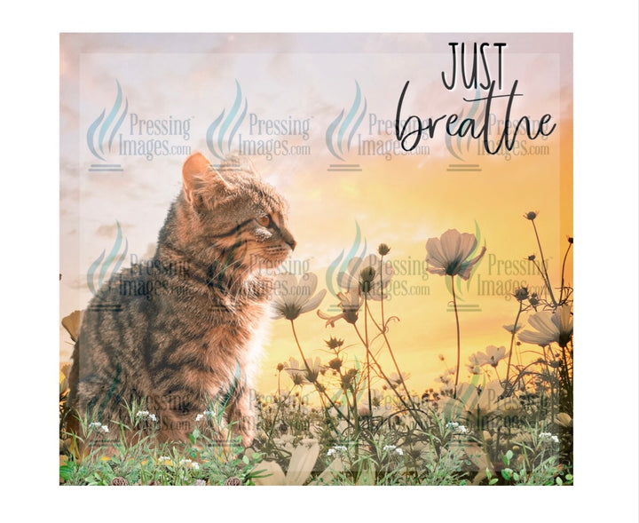 4636 just breathe cat