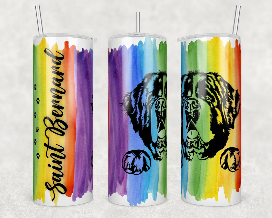 4641 Saint Bernard rainbow.