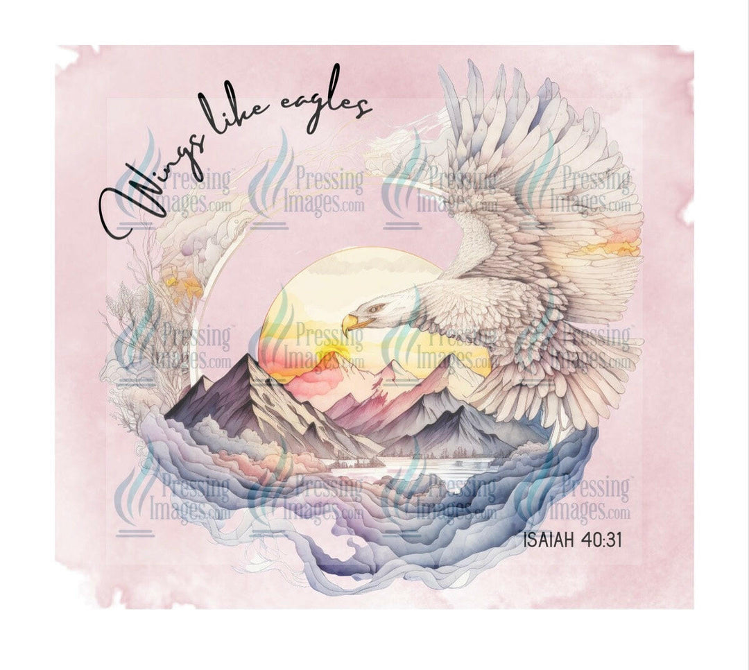 4561 wings like eagles.