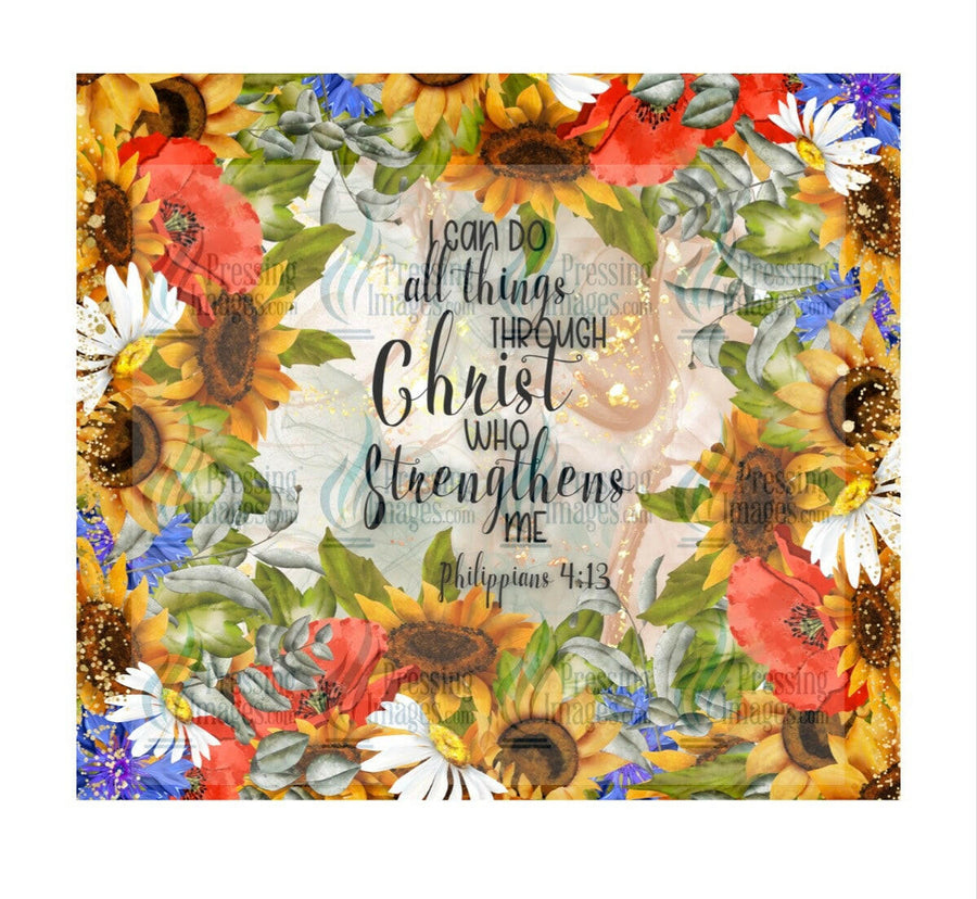 4499 I can do all things.