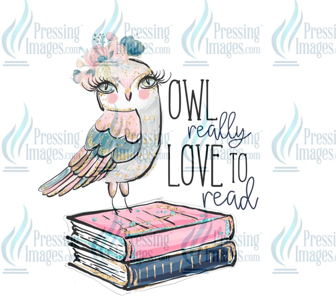 Decal: Owl love to read