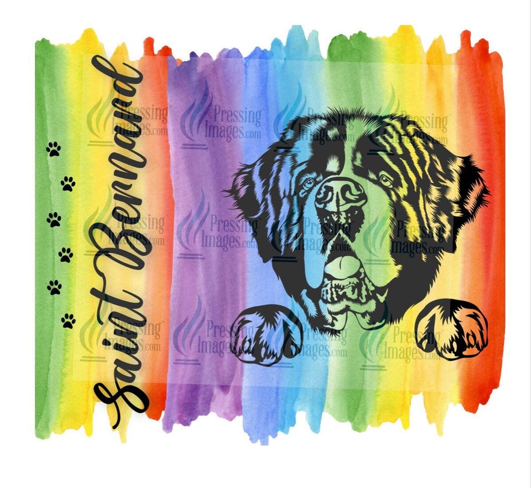 4641 Saint Bernard rainbow.