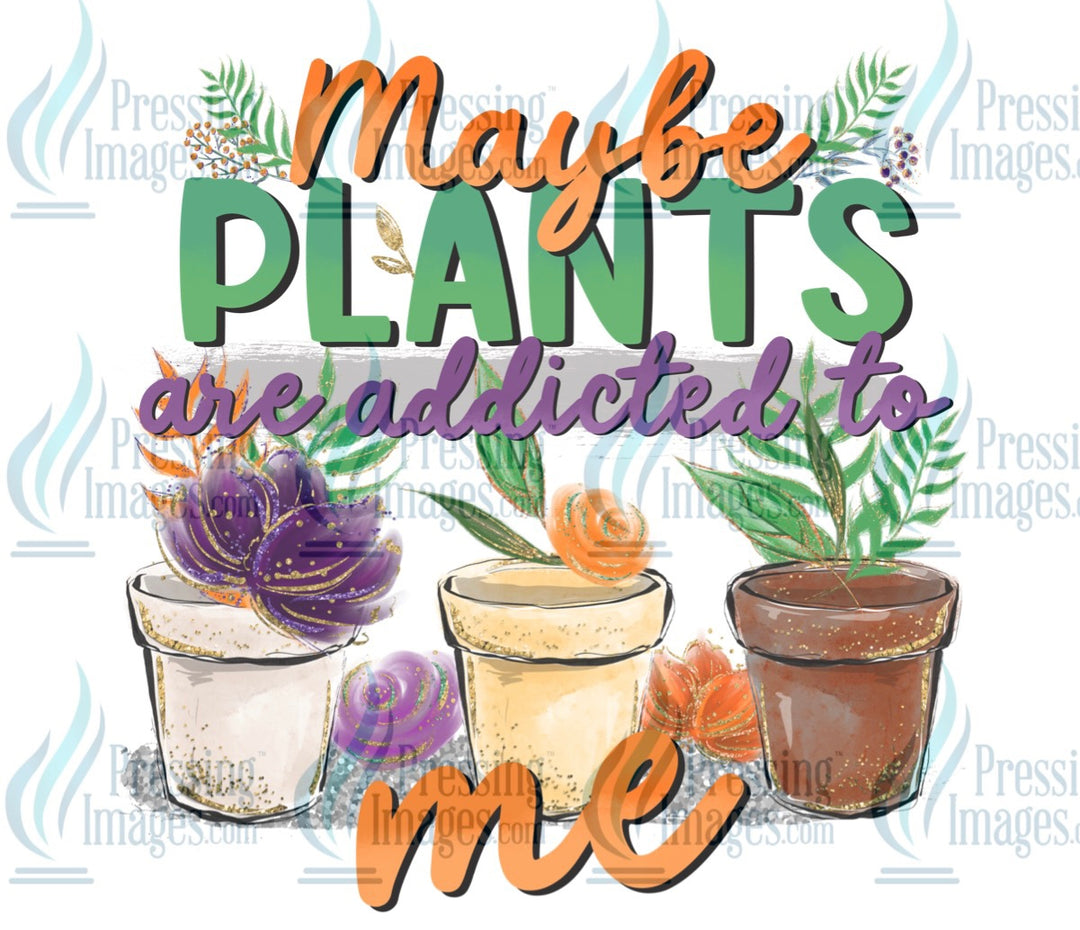 Decal: Maybe my plants are addicted to me