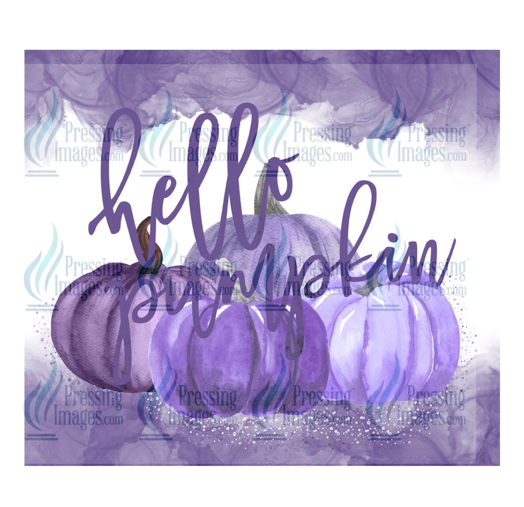 4057 Hello pumpkin purple