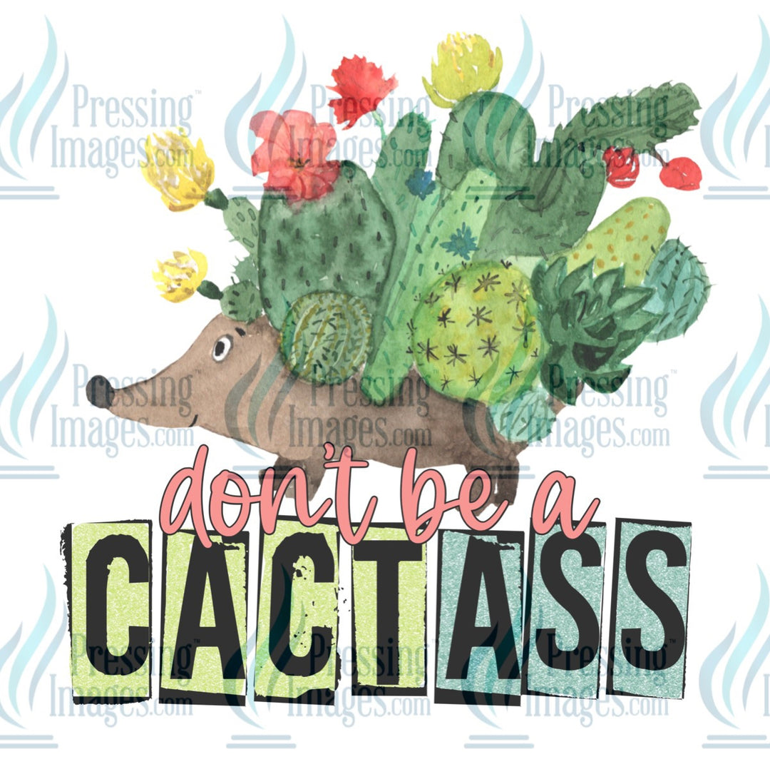 Decal: Don’t be a cactass