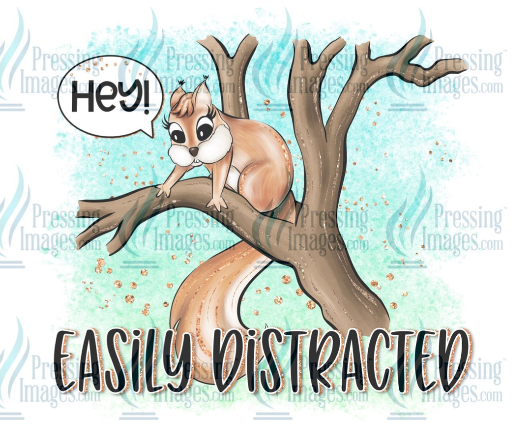 Decal: Squirrel easily distracted