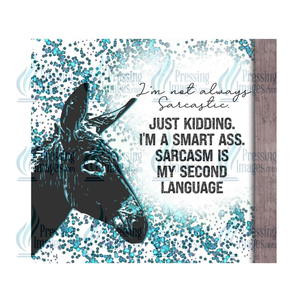 4075 I’m not always sarcastic.