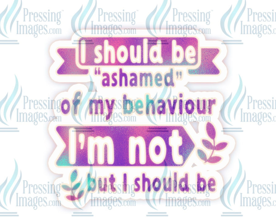 Decal: I should be Ashamed of my Behaviour