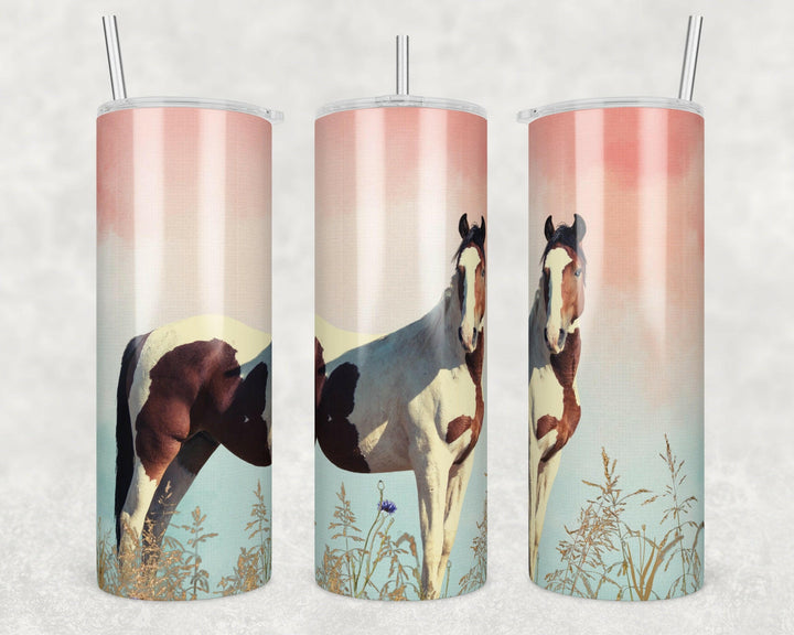 4617 Brown and white horse.