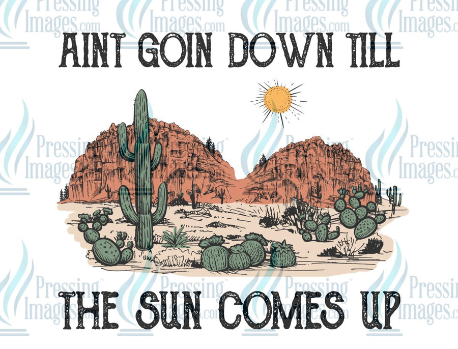 Decal: Ain’t going down till the sun comes up