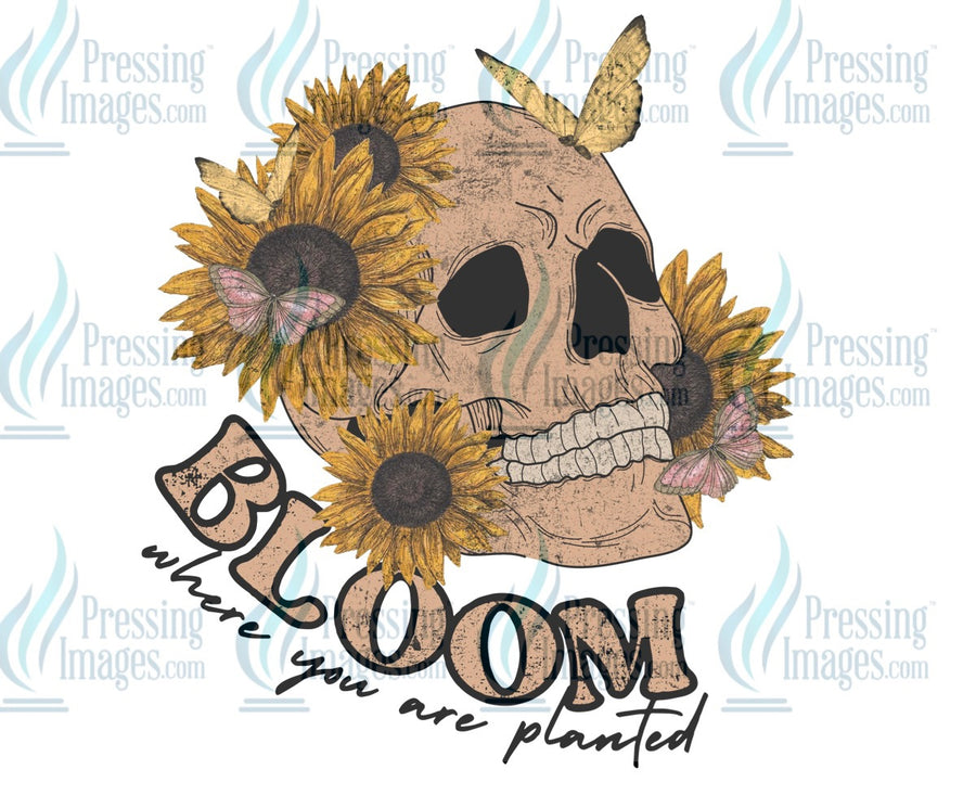 Decal: Bloom where you are planted