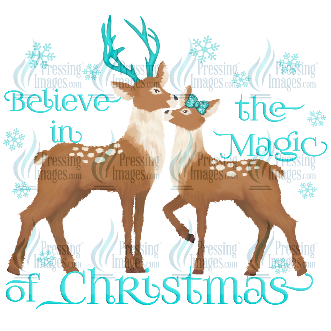 Decal: 1533 Believe in the Magic of Christmas