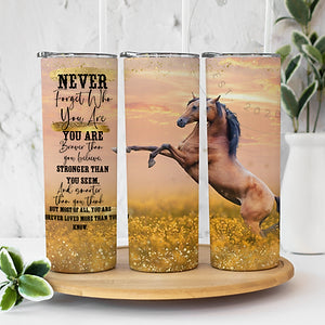 4614 Horse never forget who you are.