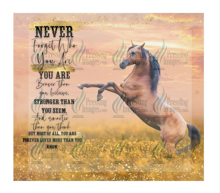 4614 Horse never forget who you are.